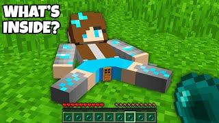 I found the MOST SECRET BASE INSIDE THE DIAMOND GIRL in Minecraft ! NEW SECRET TINY DOOR !