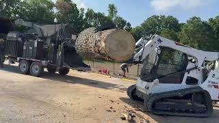 Removing a Hazardous Tree for Jack Marley Park in Angier, NC | Kenny's Tree Removal