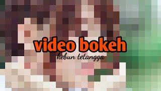 VIDEO BOKEH JEPANG GIRLS FULL HD NO SENSOR 4K BEAUTIFULL FLOWERR