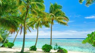 White Sandy Beaches with Calm Seaside Bossa Nova Jazz Music & Ocean Waves Sounds for Relaxation