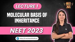 Molecular Basis of Inheritance | Lecture 1 | NEET 2023 | NEET 101