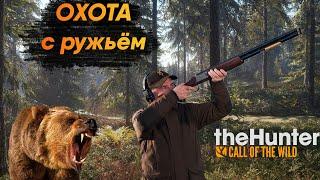 theHunter Call of the Wild | ГАЙД Охота с ружьём