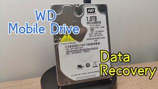 Western Digital Common Firmware Issue