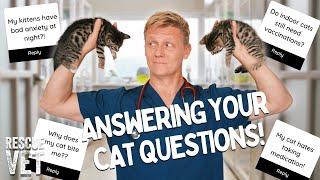 Answering all your cat questions! Anxious cats, allergies & biting..  | Ask the Vet with Dr Scott