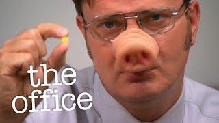 Dwight Finds a Pill - The Office US