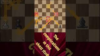 Time to Test Your Chess IQ!