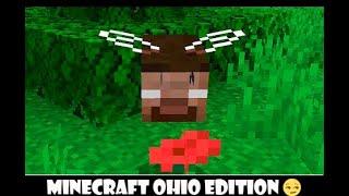 Minecraft in Ohio compilation credits to @NotSafe and @JawFPS