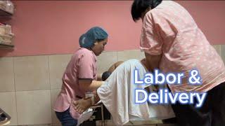 Labor and Delivery vl. 2024 \\ Pregnancy \\ Normal Birth \\ Big Baby