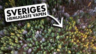 Sveriges hemligaste vapen