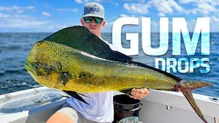 Mahi Fishing Only 2 miles Offshore!