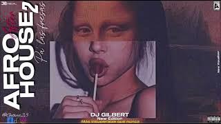 Afro House After ll (Pa’ las fresas) DJGILBERT (LiveSet - Visualizer)