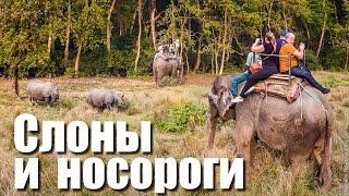 Сафари на слонах в Непале