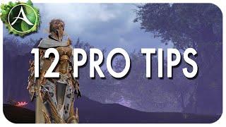 ArcheAge Tips & Tricks