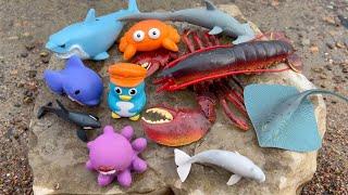 Educational Fun with Sea Animal Toys