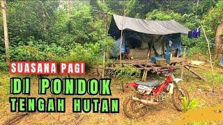 SUASANA PAGI HIDUP DI PONDOK TENGAH HUTAN  - CAMPING DI HUTAN KALIMANTAN