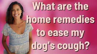 What are the home remedies to ease my dog's cough?