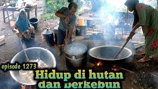 kompak keluarga dan tetangga masak-masak hidangan persedekahan warta petani muda hidup di hutan