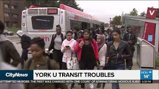 York Region buses no longer allowed on York U campus