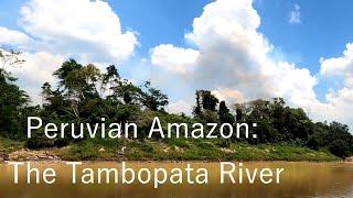 OutBirding - Peruvian Amazon: The Tambopata River (Full Episode)