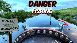 In The Wild Catching Fish IN ALLIGATOR INFESTED WATER - A1A Adventures