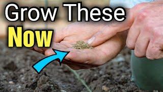 Grow These Now | March Sowing | Gardening for Beginners