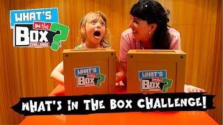 What's In The Box Challenge at #CharacterKidz - Dear Mummy Vlog