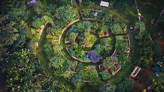 Landscape Designer Grows 250+ Plants for HEALING | Stunningly BEAUTIFUL GARDEN