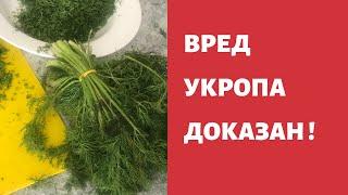 Вред укропа ДОКАЗАН ! А о пользе мы и сами знаем …