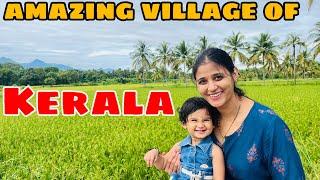 Must visit this village of Kerala || North Indian in kerala || #palkkad #kerala#keralagodsowncountry