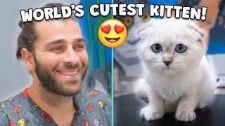 This is The Cutest Kitten Ever! ( but she has a problem... )