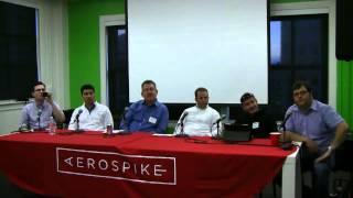 Panel of Big Data Experts on Building Real-time Platforms hosted by Aerospike