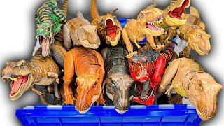 The BIGGEST T-Rex Collection Haul: JP, JW, etc. | Hammond T-Rex, Super Colossal T-Rex, and More!