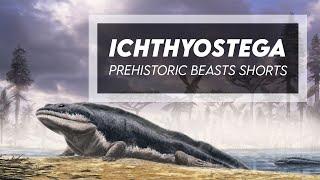 Ichthyostega - Devonian Stem Tetrapod