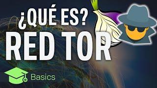 RED TOR: ¡NAVEGA de forma  SEGURA! - QUÉ ES, PARA QUÉ SIRVE y CÓMO FUNCIONA