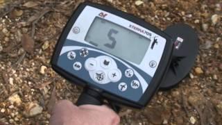 Detector de metales Minelab X-TERRA 705 Gold