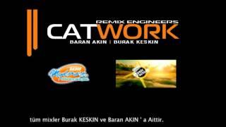 Catwork Remix Engineers - Hands Up Baby