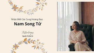 [Nhận Biết 12 Cung Hoàng Đạo] Nhận biết Nam Song Tử