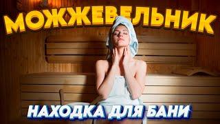 МОЖЖЕВЕЛОВЫЙ ВЕНИК ДЛЯ БАНИ! плюсы можжевелового веника! польза можжевельника!