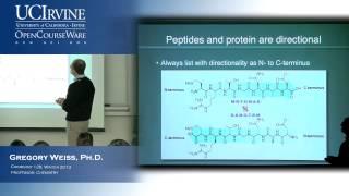 Introduction to Chemical Biology 128. Lecture 10. Proteins and Amino Acid Conformations.