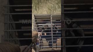 RDR2 If you free him, something horrible may happen #shorts #rdr2 #reddeadredemption #gaming