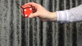 Magical Die by Joker Magic