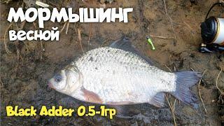 МОРМЫШИНГ! ОТКРЫЛ СЕЗОН ПО КАРАСЮ. РЫБАЛКА ВЕСНОЙ. Black Adder 0.5-1g #мормышинг #fishing