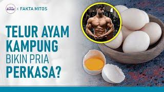 Benarkah Telur Ayam Kampung Bagus untuk Stamina Pria? Ini Faktanya | Hidup Sehat tvOne