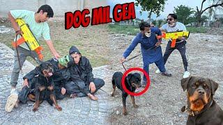 Rottweiler Dog Ko Dhond Lea  Kis Ky Pass Tha ?