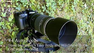 #4 Steve Ingraham’s Easy Birds and Wildlife with the OM-1: Auto Focus