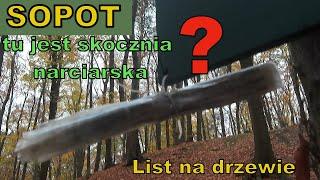 Sopot i list na drzewie