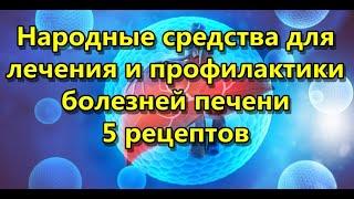 Народные средства для лечения и профилактики болезней печени - 5 рецептов