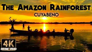 Cuyabeno Amazon Rainforest | La Belleza de Ecuador 4k Drone