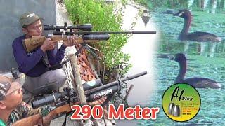 HOAX..‼️290 METER BERBURU MANDAR & BELIBIS MINI