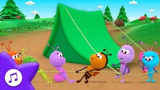 Camping Day ️ Camping Song  BOOGIE BUGS  PREMIERE  + More Kids Songs | Toddler Learning